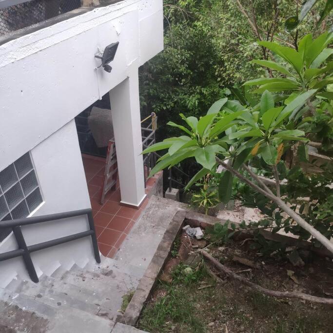 Kk Jungle Hideaway Lovely Apartment 5 Mins Walk To Town Kota Kinabalu Exterior foto
