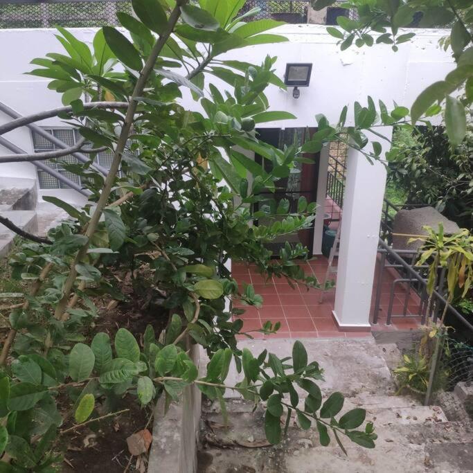 Kk Jungle Hideaway Lovely Apartment 5 Mins Walk To Town Kota Kinabalu Exterior foto